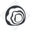 Guardian Shield icon