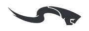 Stretch Punch icon