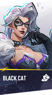 Black Cat hero profile